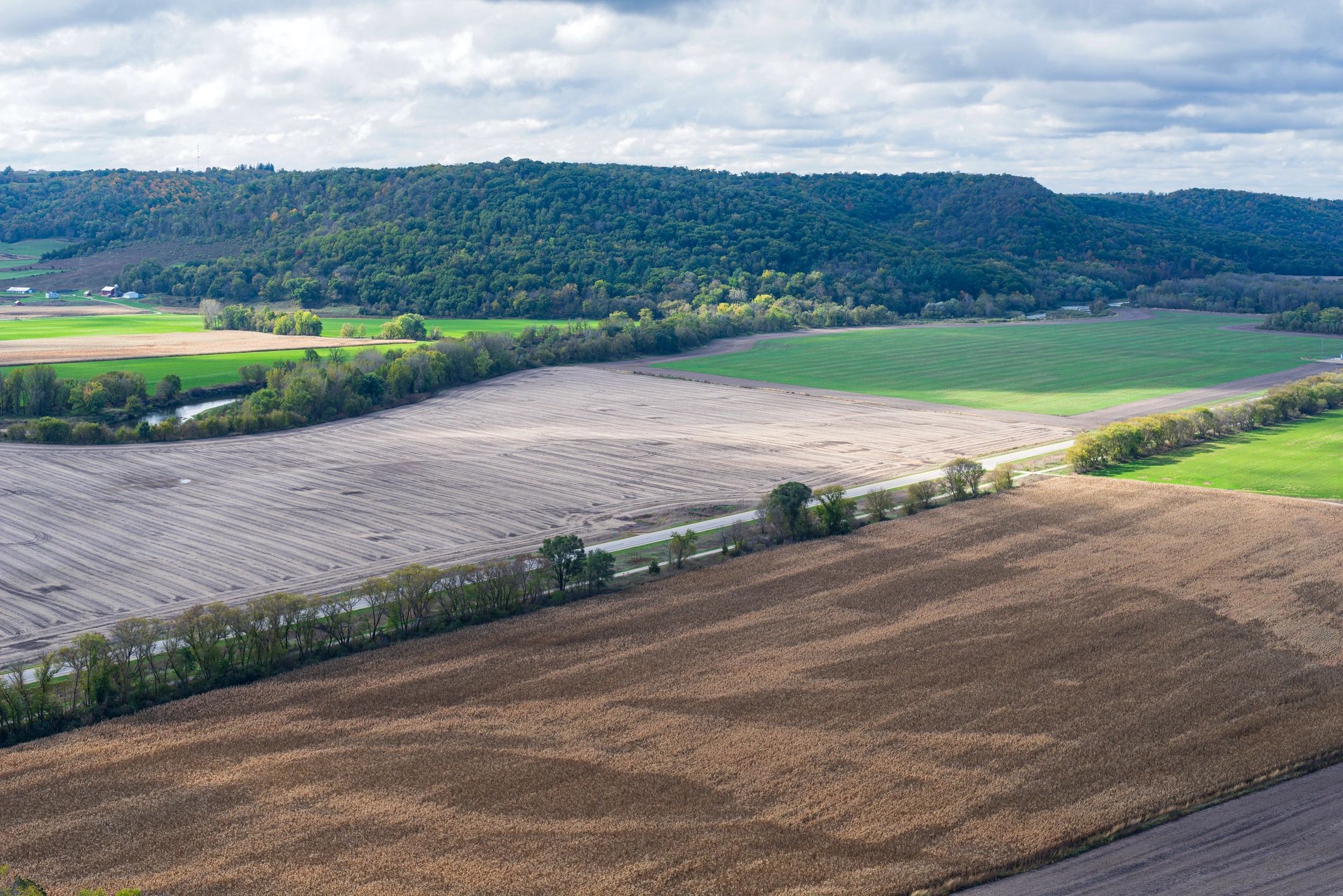 forestry mulching land clearing Minnesota